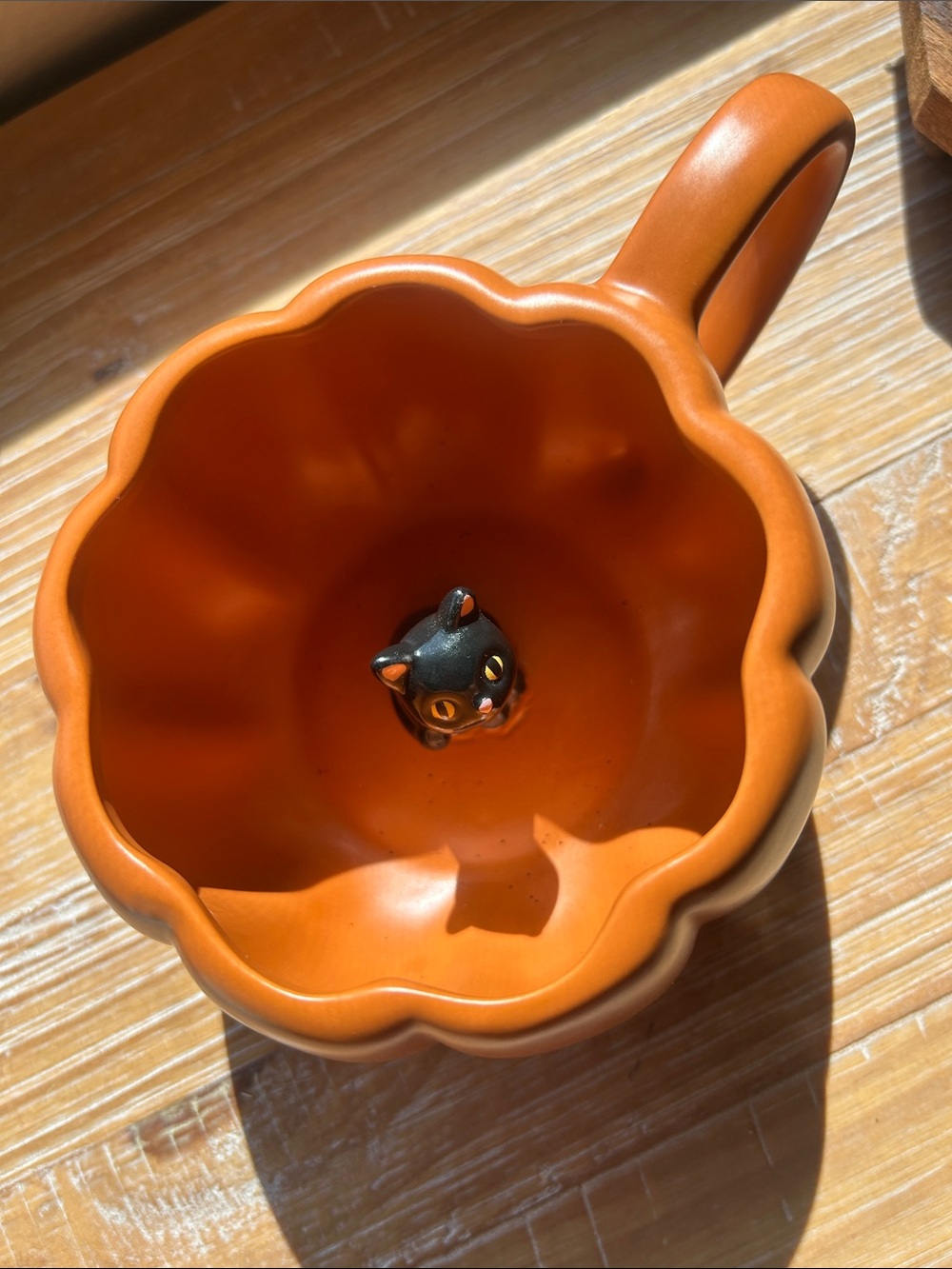 Celebrate Together Peek- A- Boo Black Cat Orange Pumpkin Mug